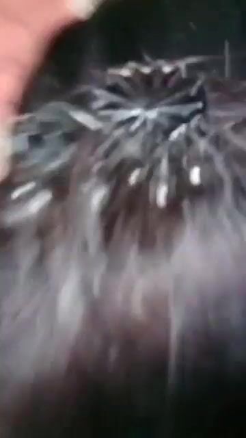 अमर आणी दीपा यांचा गावराण झवाझवी मोबाइल विडिओ