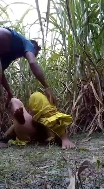 Newlywed bhabhi fucked in sugarcane farm